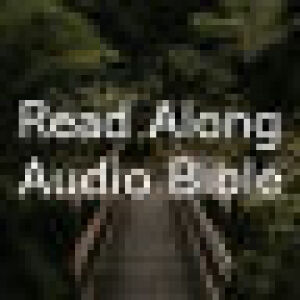 Read Along Audio Bible